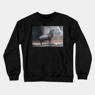 Sea Lion Crewneck Sweatshirt